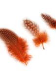 Guinea Plumage Loose 1/8 oz