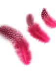 Guinea Plumage Loose 1/8 oz