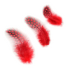 Guinea Plumage Loose 1/8 oz