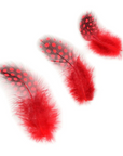 Guinea Plumage Loose 1/8 oz