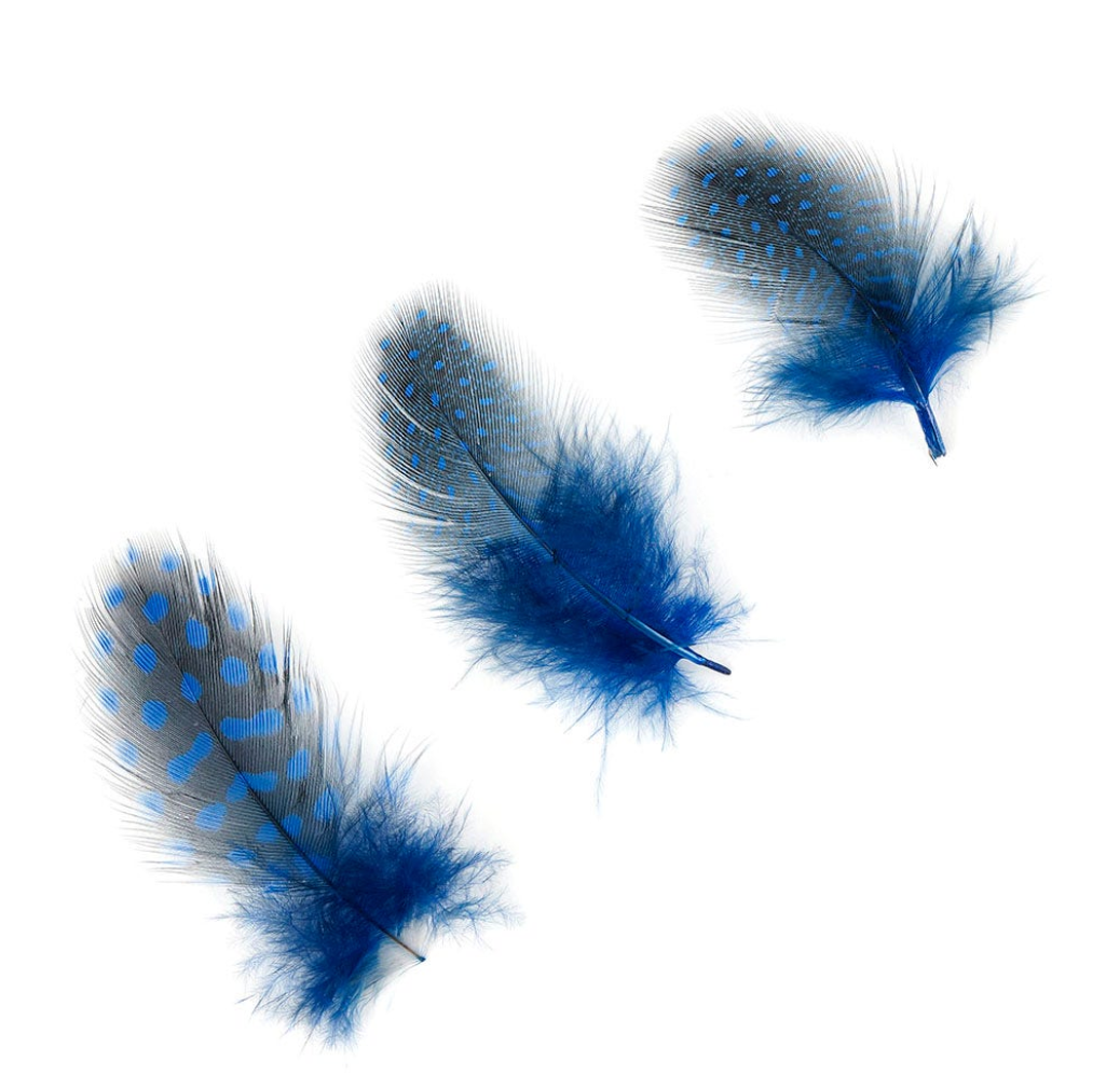 Guinea Plumage Loose 1/8 oz