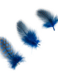 Guinea Plumage Loose 1/8 oz