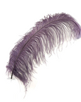 Ostrich Feather X-Large Herl 1 pc