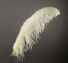 Ostrich Feather X-Large Herl 1 pc