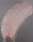 Ostrich Feather X-Large Herl 1 pc