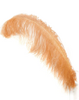 Ostrich Feather X-Large Herl 1 pc