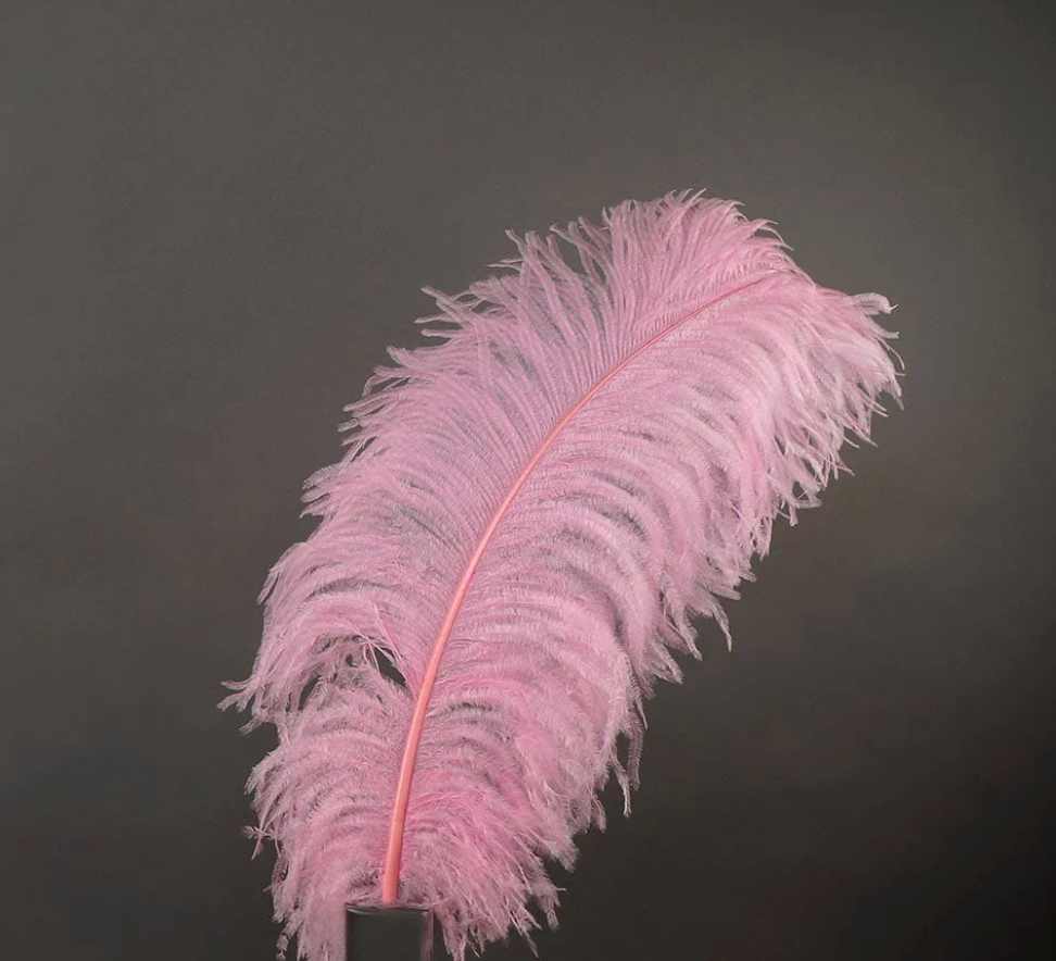 Ostrich Feather X-Large Herl 1 pc