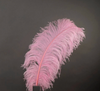 Ostrich Feather X-Large Herl 1 pc