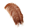 Ostrich Feather X-Large Herl 1 pc