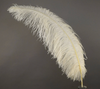 Ostrich Feather X-Large Herl 1 pc