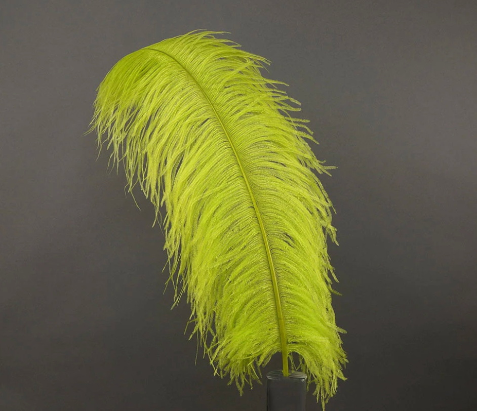 Ostrich Feather X-Large Herl 1 pc