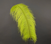 Ostrich Feather X-Large Herl 1 pc