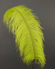 Ostrich Feather X-Large Herl 1 pc