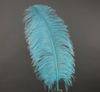 Ostrich Feather X-Large Herl 1 pc