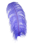 Ostrich Feather X-Large Herl 1 pc