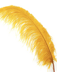 Ostrich Feather X-Large Herl 1 pc