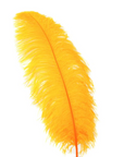 Ostrich Feather X-Large Herl 1 pc