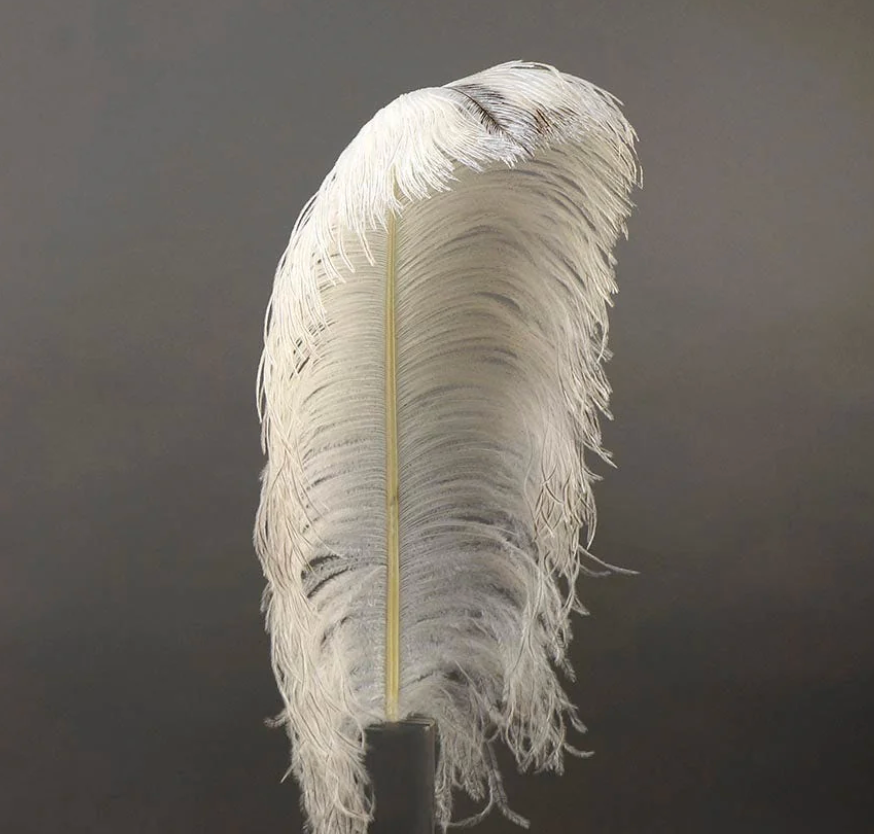 Ostrich Feather X-Large Herl 1 pc
