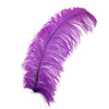 Ostrich Feather X-Large Herl 1 pc