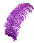 Ostrich Feather X-Large Herl 1 pc