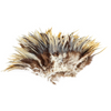 Rooster Saddle Hackle Cream Striped Strung 2 inch strip