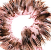 Rooster Saddle Hackle Cream Striped Strung 2 inch strip