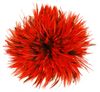 Rooster Saddle Hackle Cream Striped Strung 2 inch strip