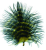 Marabou Barred Loose Small