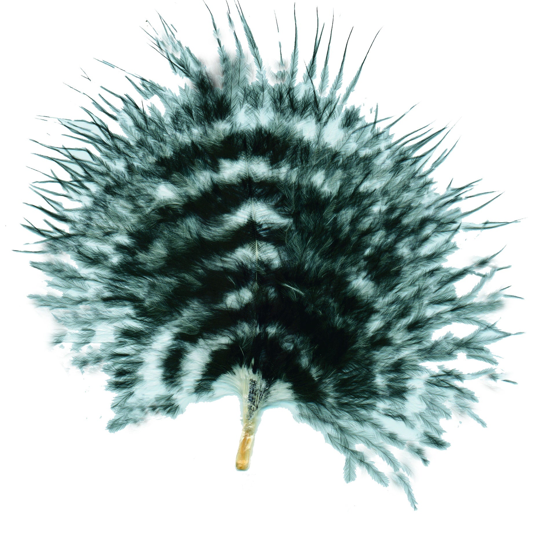Marabou Barred Loose Large 1/8 oz