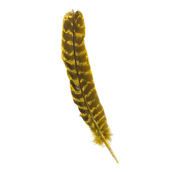 Turkey Quills Barred Selected Wing 1pc