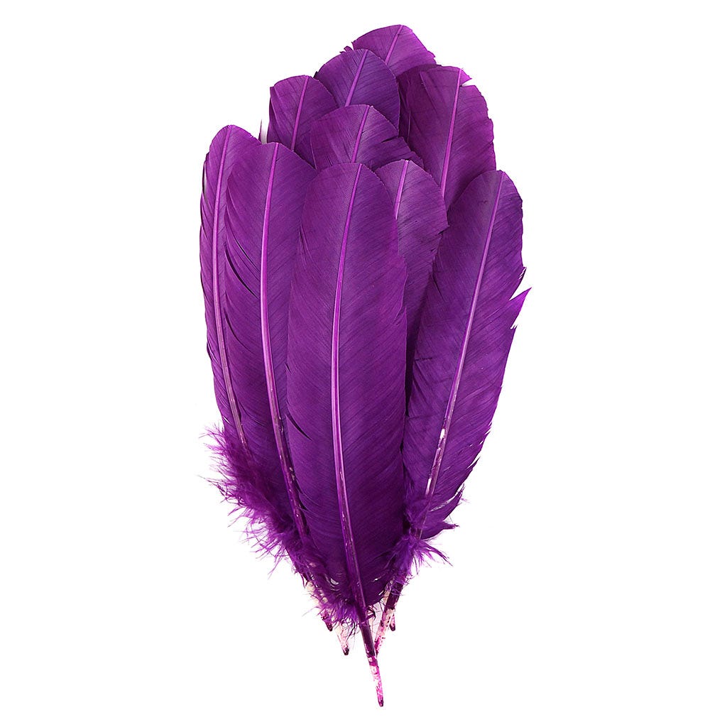 Turkey Quill with Cut Top Selected Wing 1pc