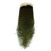 Turkey Bronze Tail Selected Medium 1 pc