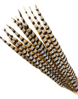 Venery Pheasant Tail Selected 1 pc