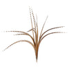 Pheasant Venery Tail Selected 1 pc