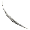 Lady Amherst Pheasant Center Tail Selected 1 pc