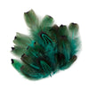 Ringneck Pheasant Heart Plumage Loose 1/4oz