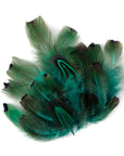 Ringneck Pheasant Heart Plumage Loose 1/4oz