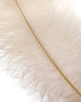 Large Ostrich Drab Feather 1 pc