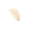 Ostrich Drab Feather Medium 1 pc