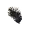 Ostrich Drab Feather Medium 1 pc