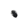Ostrich Drab Feather Small 1 pc