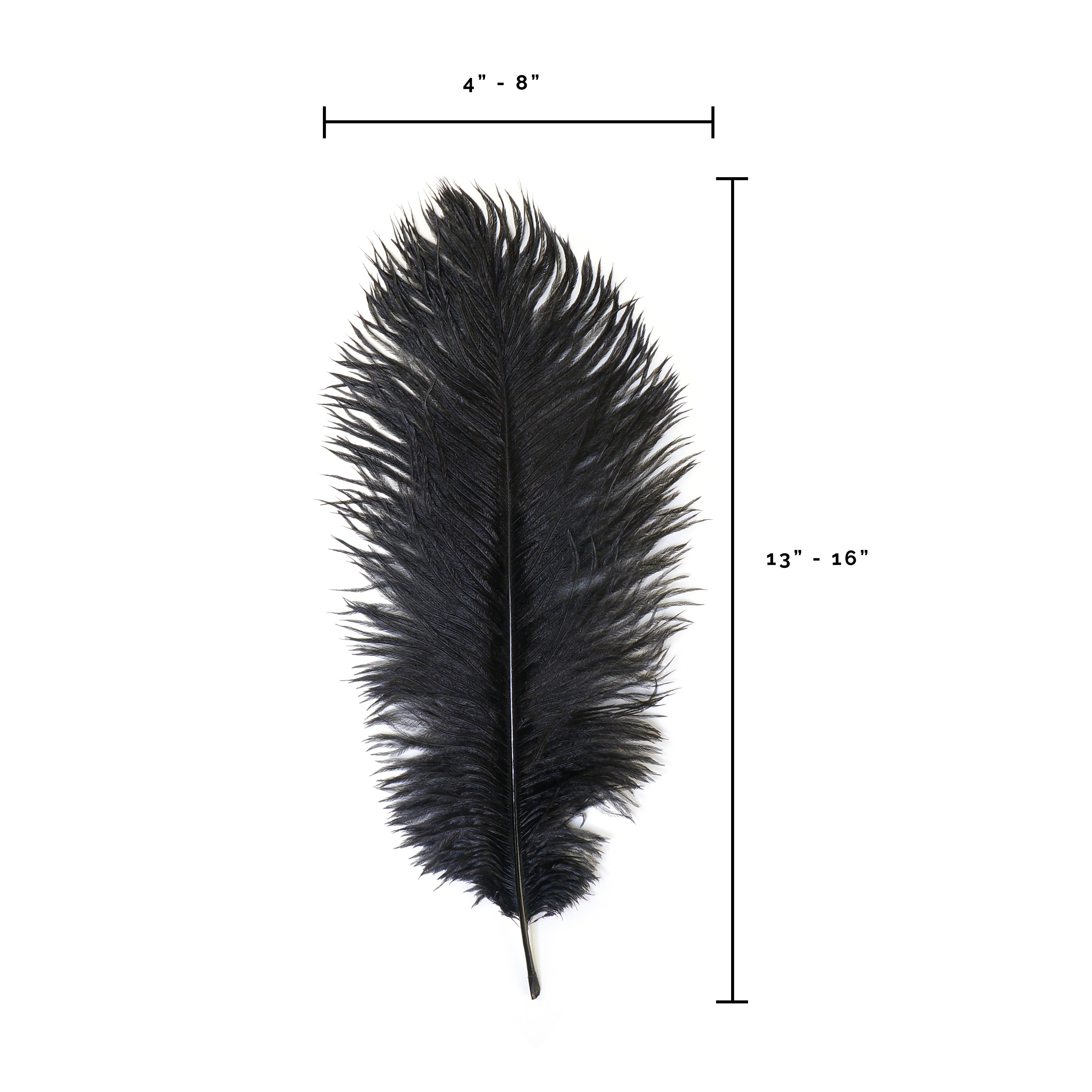 Ostrich Drab Feather Large 1 pc – MarabouBrothers