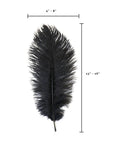 Large Ostrich Drab Feather 1 pc