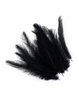 Ostrich Rhea Tail 1pc