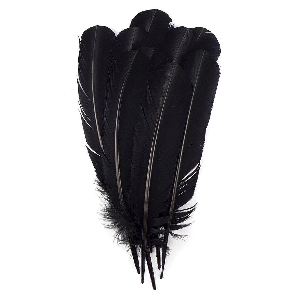 Turkey Quill with Cut Top Selected Wing 1pc