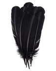 Turkey Quill with Cut Top Selected Wing 1pc