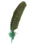 Barred Turkey Quills Selected Wing 1pc