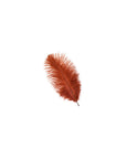 Small Ostrich Feather Drab 1 pc