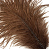 Medium Ostrich Drab Feather 1 pc