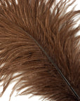 Medium Ostrich Drab Feather 1 pc